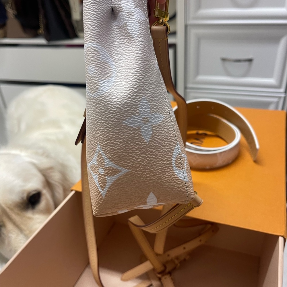 Louis Vuitton Pink and White Backpack with Monogram Design - Picture 5 of 10